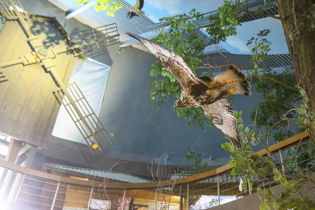 природное разнообразие