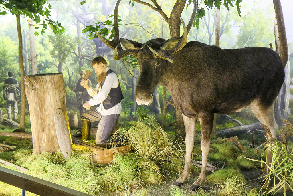 природное разнообразие