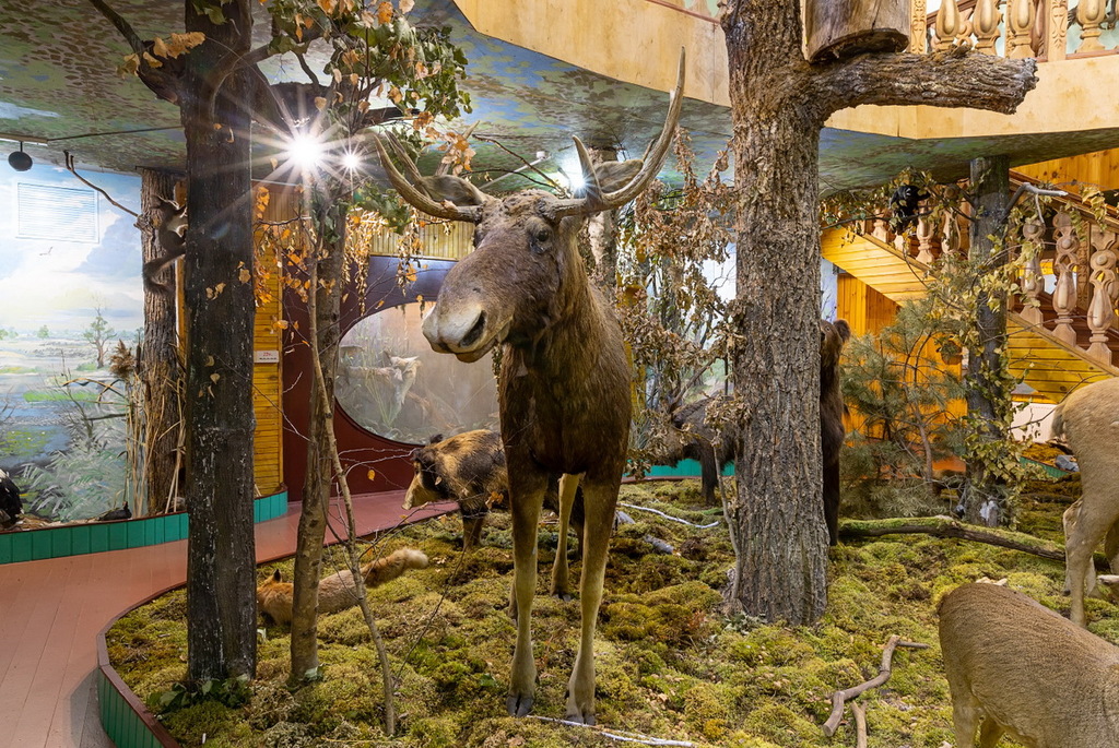 Nature Museum in Turov