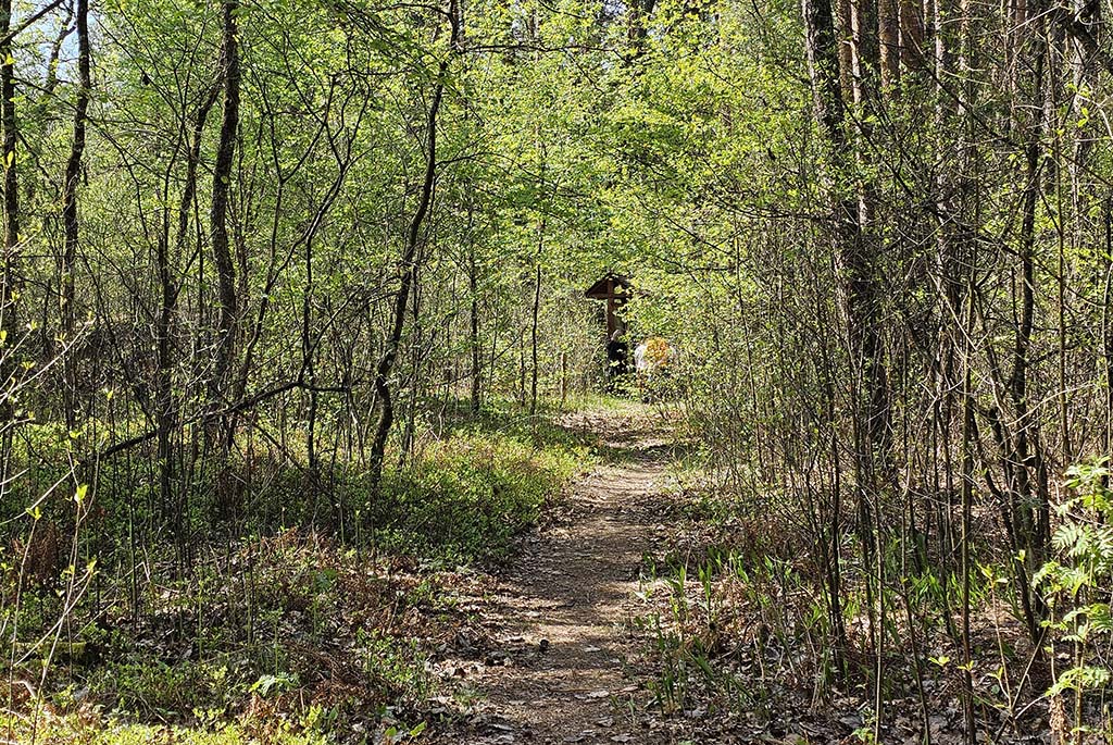 Pripyatsky National Park