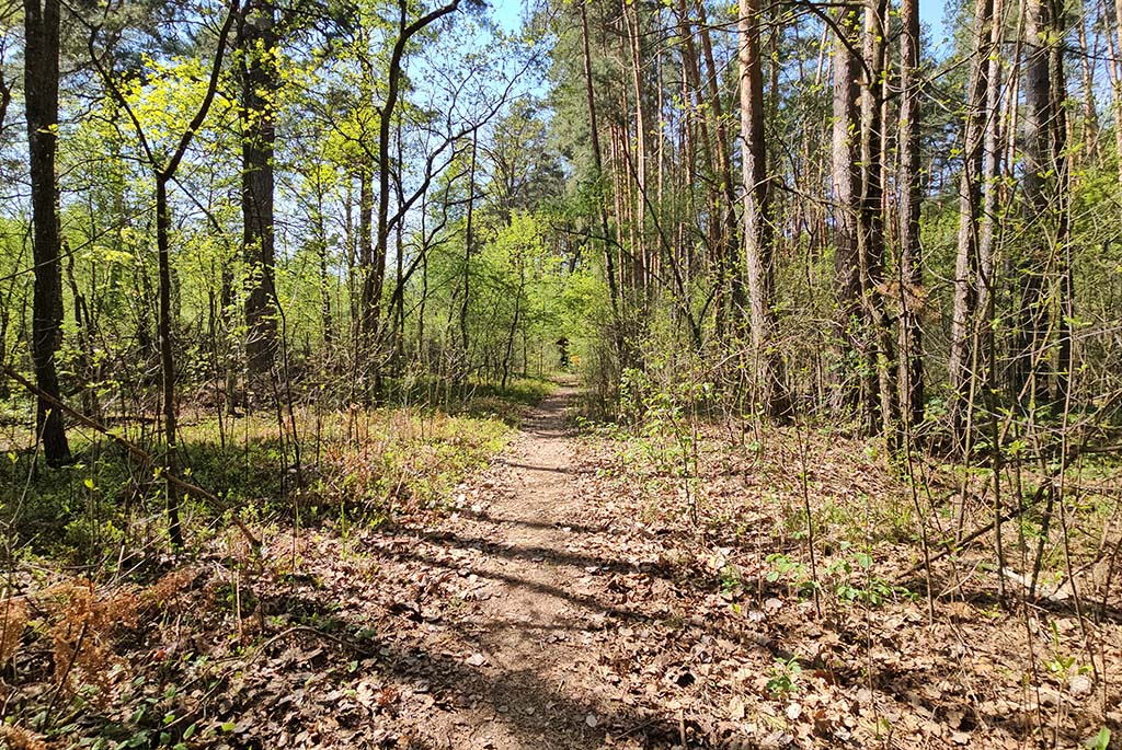 Pripyatsky National Park