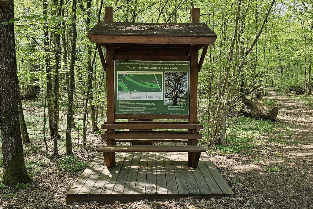 Pripyatsky National Park