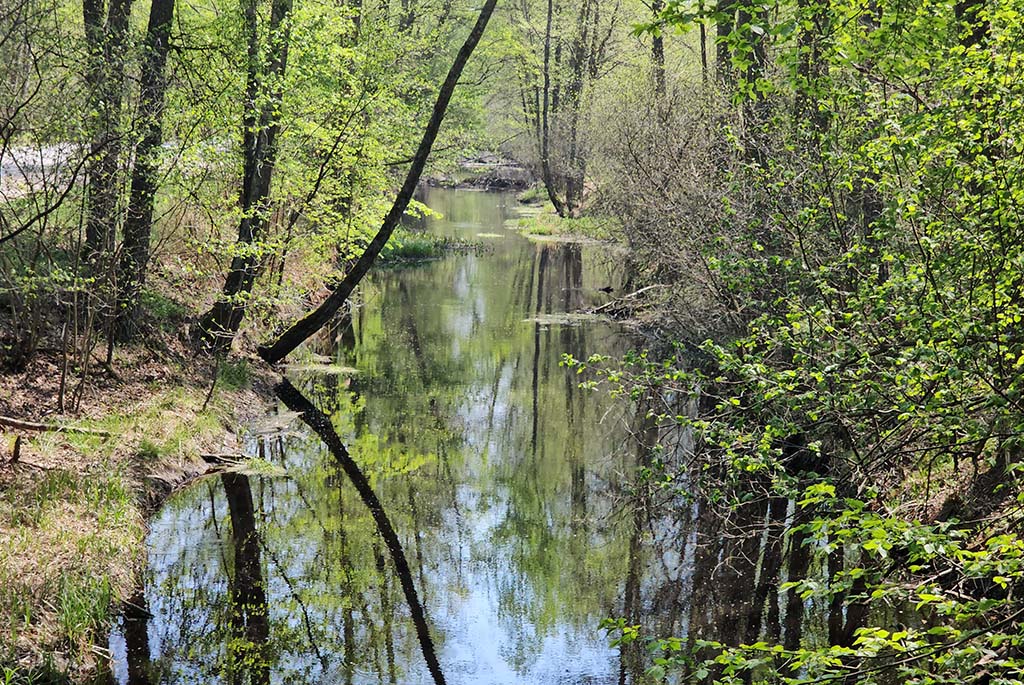 Pripyatsky National Park