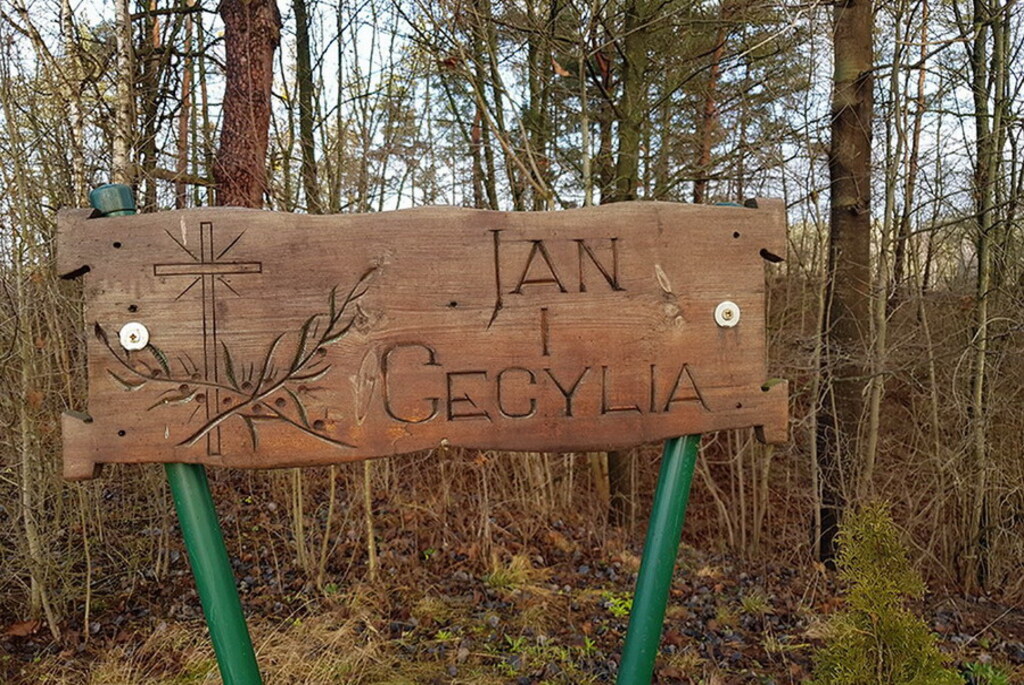 Овраг Яна и Цецилии в Богатыревичах