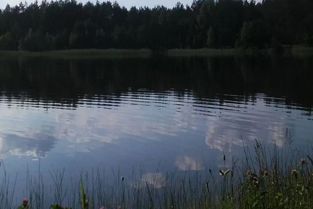 Озеро Верхолесское в Кобринском районе
