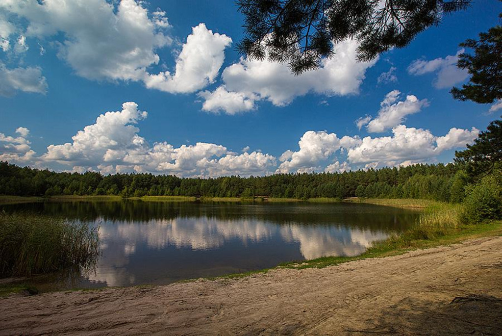 Озеро Верхолесское в Кобринском районе