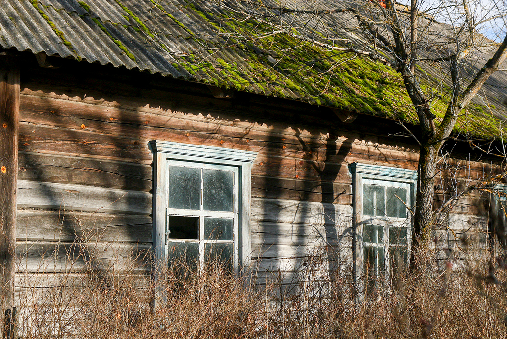 Radiation-Ecological Reserve