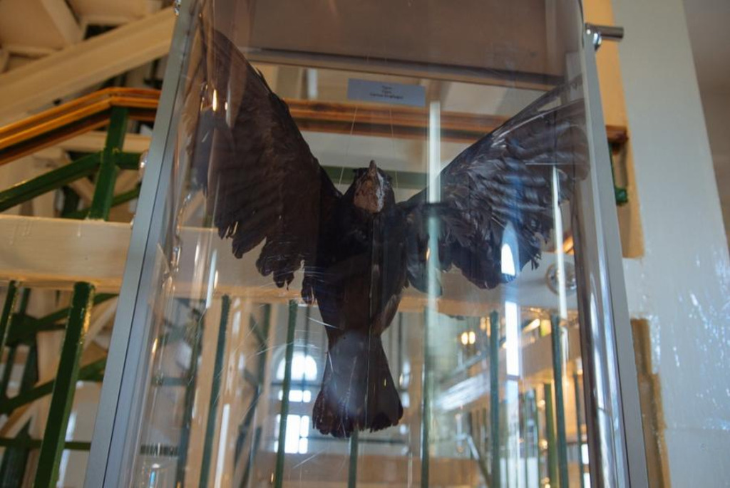 Natural and Ecological Museum in the Water Tower