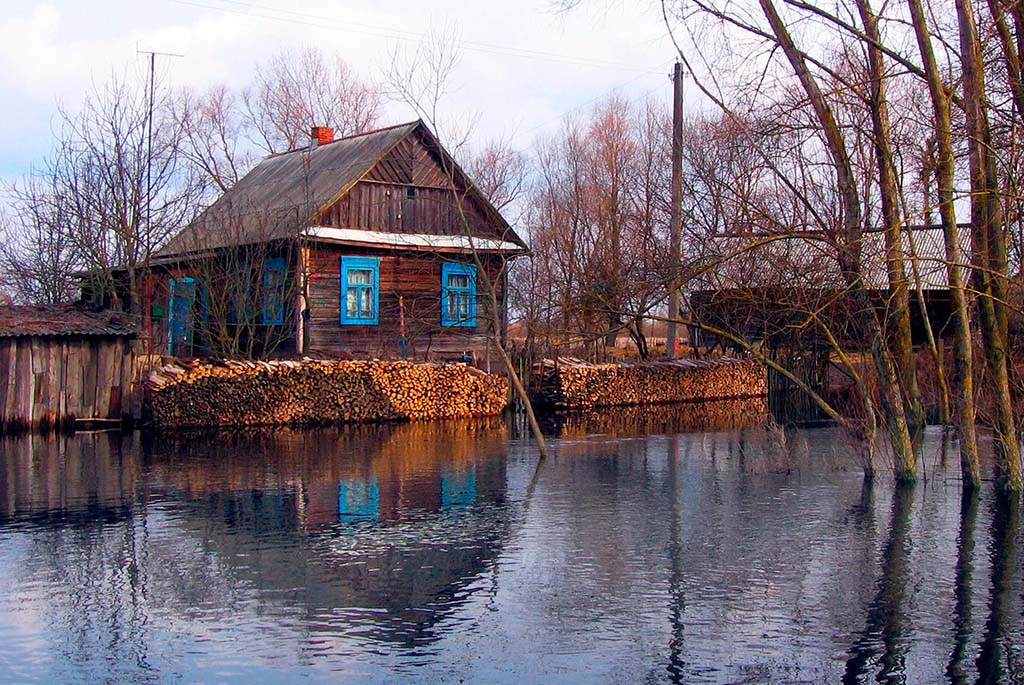 города полесья