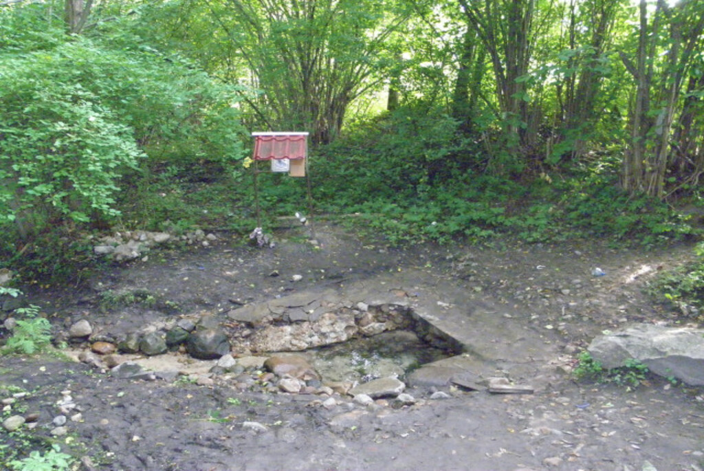 Родник «Живоносный источник» (Кипячка)