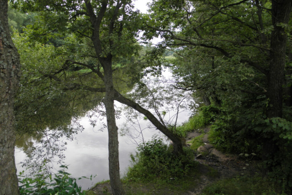 Родник «Живоносный источник» (Кипячка)