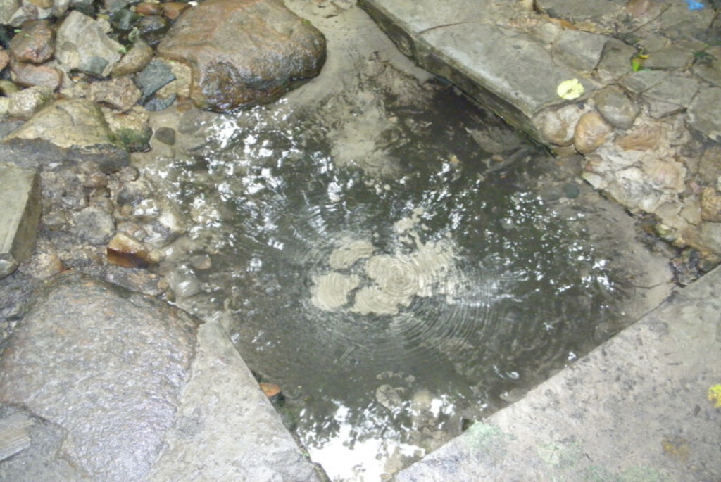 Родник «Живоносный источник» (Кипячка)