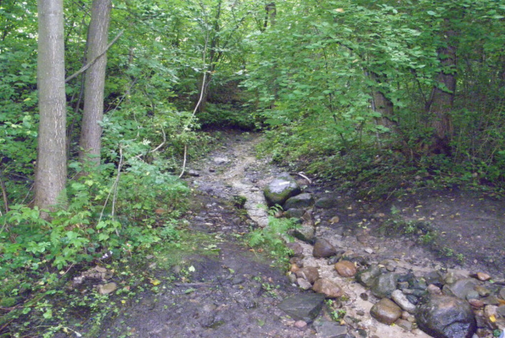 Родник «Живоносный источник» (Кипячка)