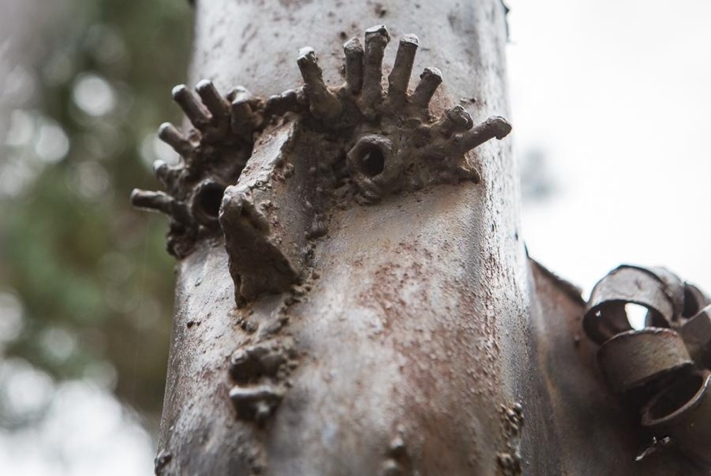 странствующий король в Солигорске