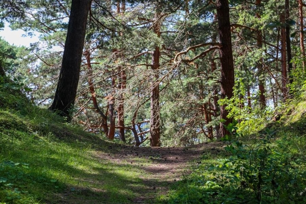 слободковская озовая гряда