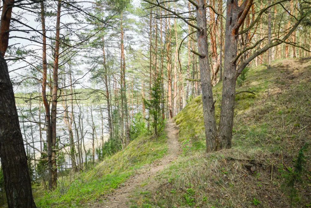 слободковская озовая гряда