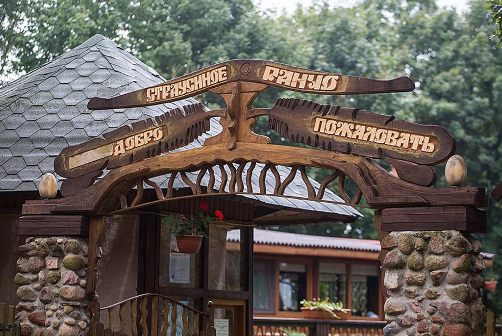 Страусиная ферма в деревне Козище