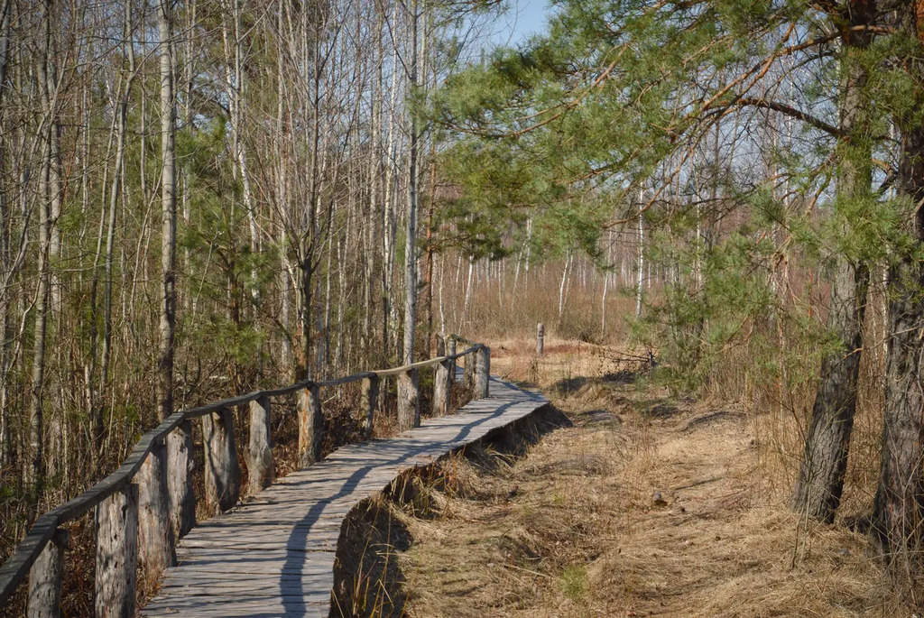 Удивительные экотропы Беларуси