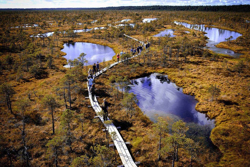 Удивительные экотропы Беларуси