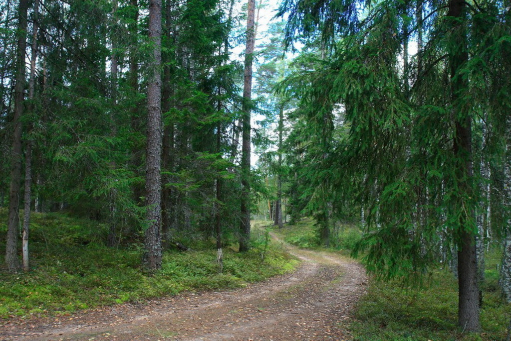 Удивительные экотропы Беларуси