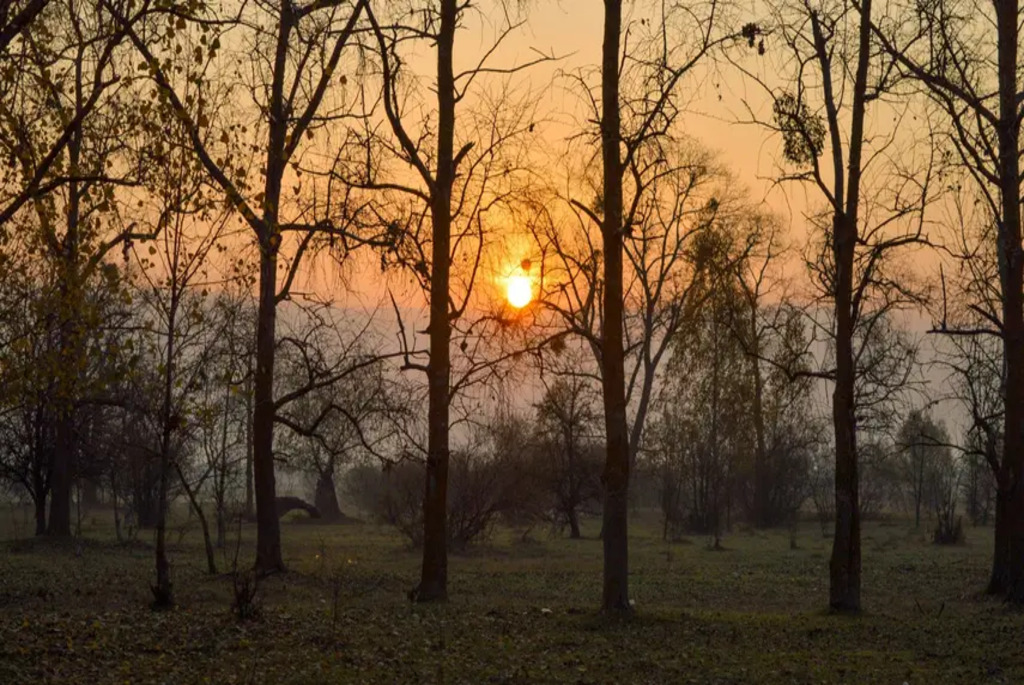 Удивительные экотропы Беларуси
