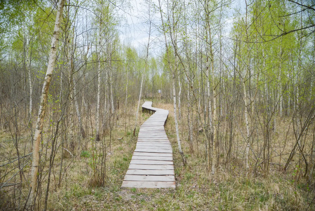 Удивительные экотропы Беларуси