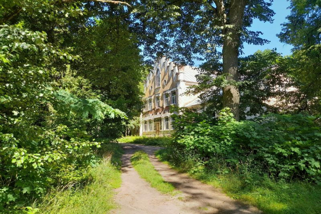 Усадьба Бохвицей в Павлиново