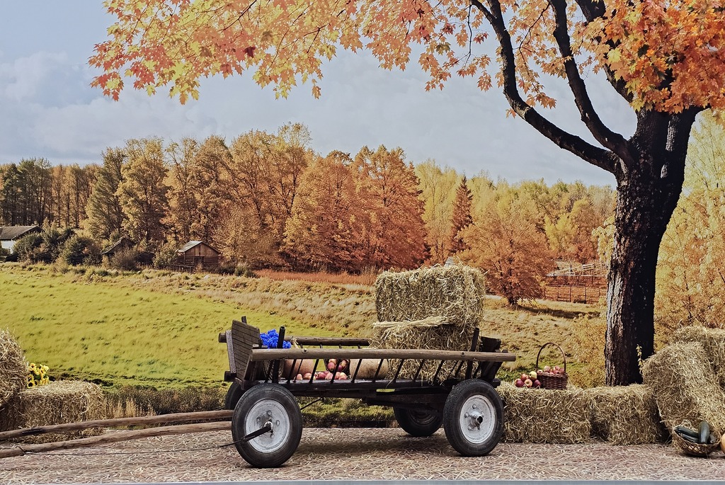 Выставка достижений &laquo;Моя Беларусь&raquo;