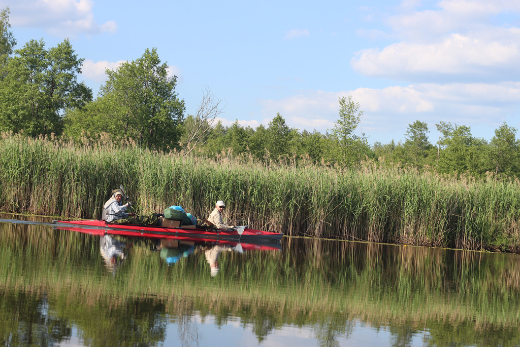 Заказник «Острова Дулебы»