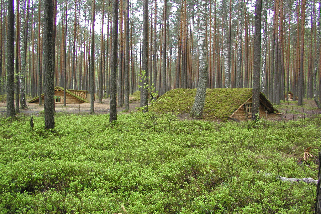 Заказник «Острова Дулебы»