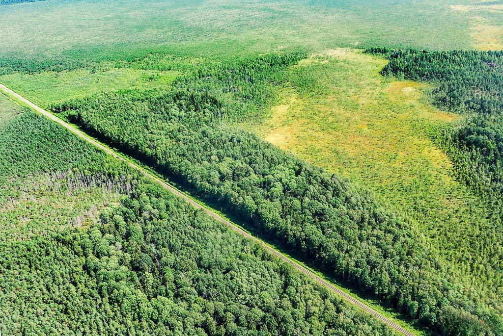 Заказник «Острова Дулебы»