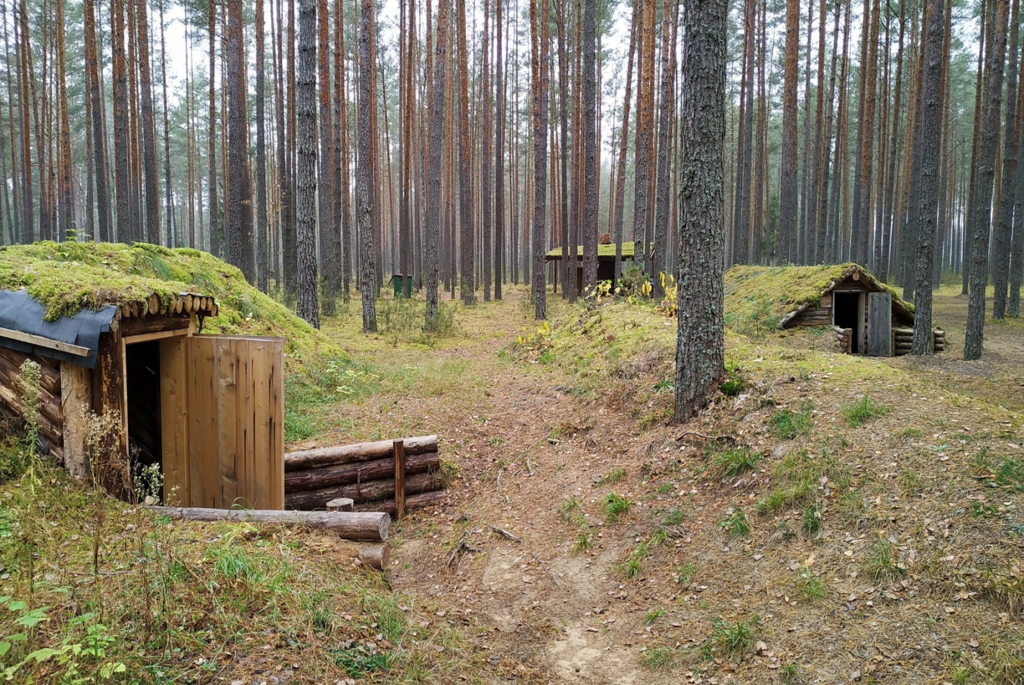 Заказник «Острова Дулебы»