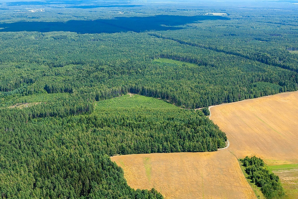 Заказник «Острова Дулебы»