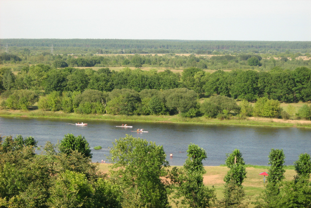 Заказник «Острова Дулебы»