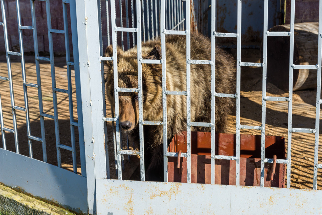 Зоосад в центре экотуризма &laquo;Станьково&raquo;