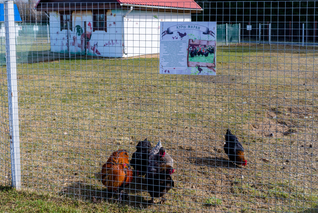 Зоосад в центре экотуризма &laquo;Станьково&raquo;