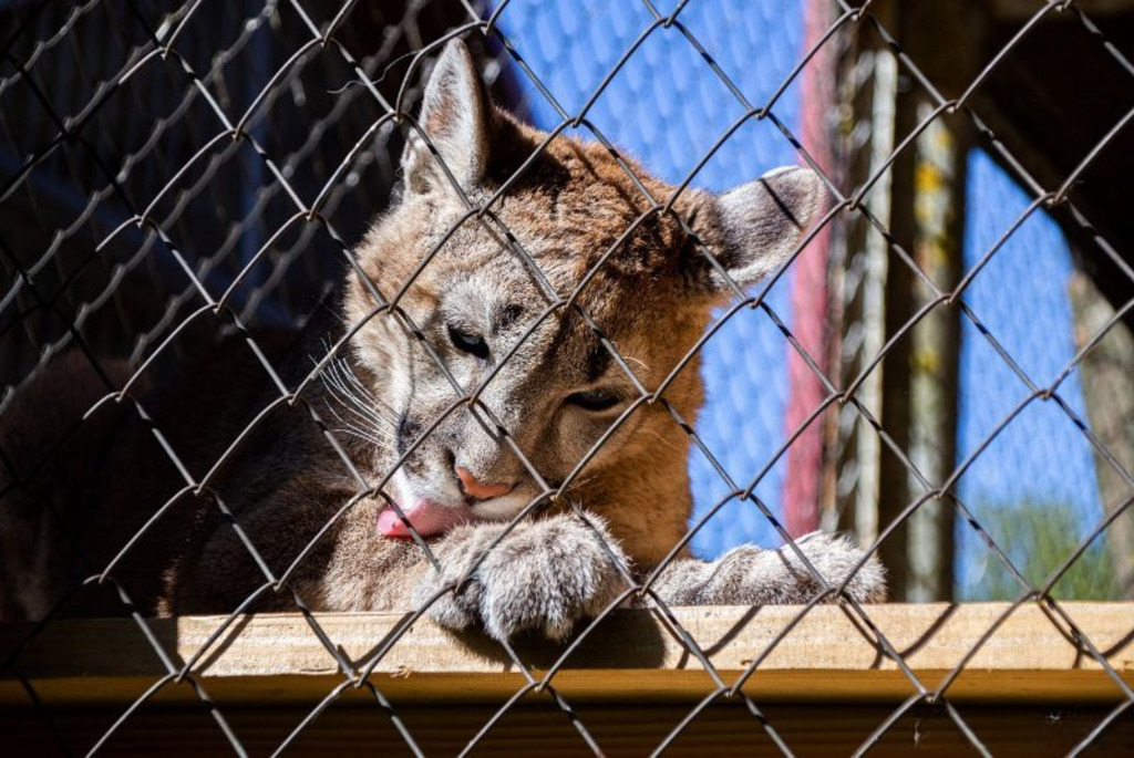 Buinichi Zoo