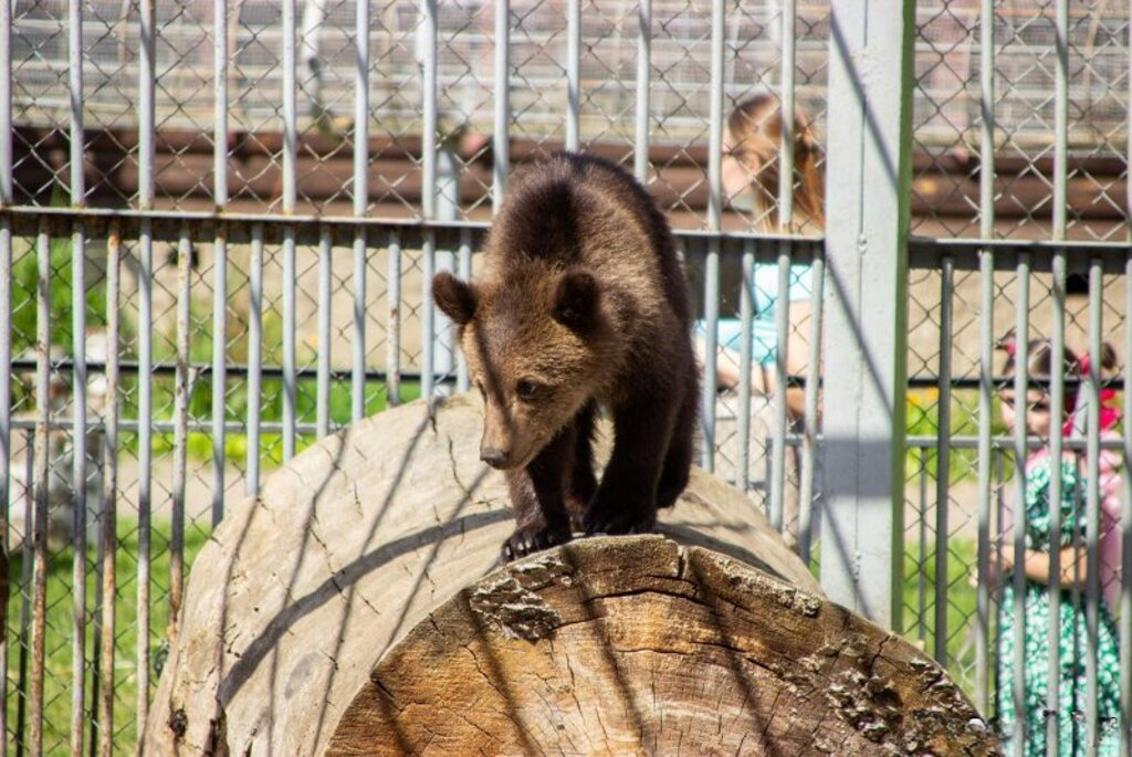 Buinichi Zoo
