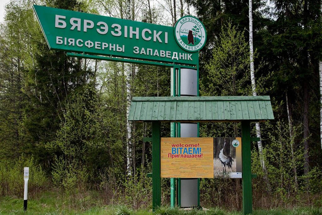 Berezinsky Biosphere Reserve
