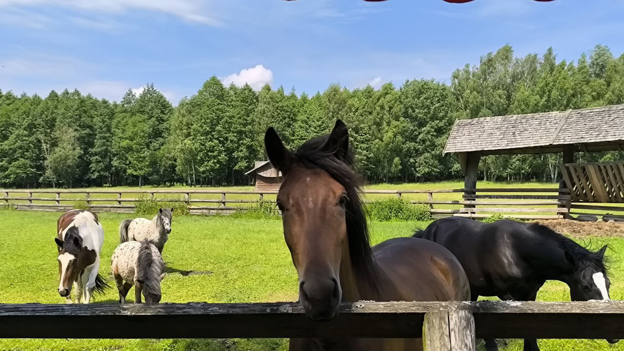 Garadzensky maentak "Karobchytsy"